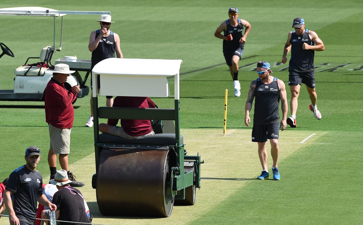 BATSMAN'S PARADISE? New Zealand captain Brendon McCullum inspects the pitch yesterday.