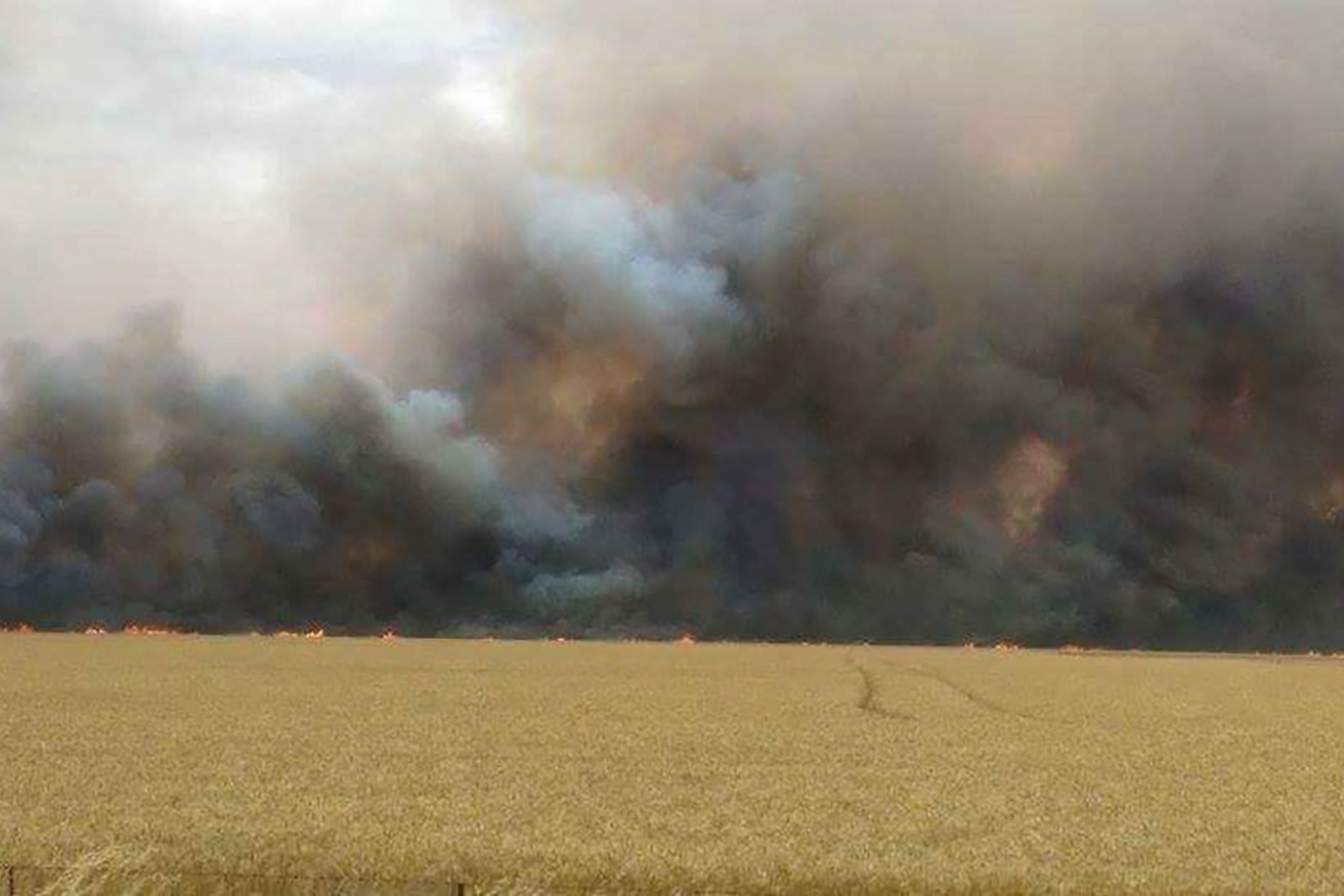 The blaze burning out of control in Mallala. Photo: AAP/Stelios Eleftheriou