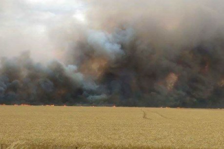 Pinery fire crop and feed damage bill hits $24m