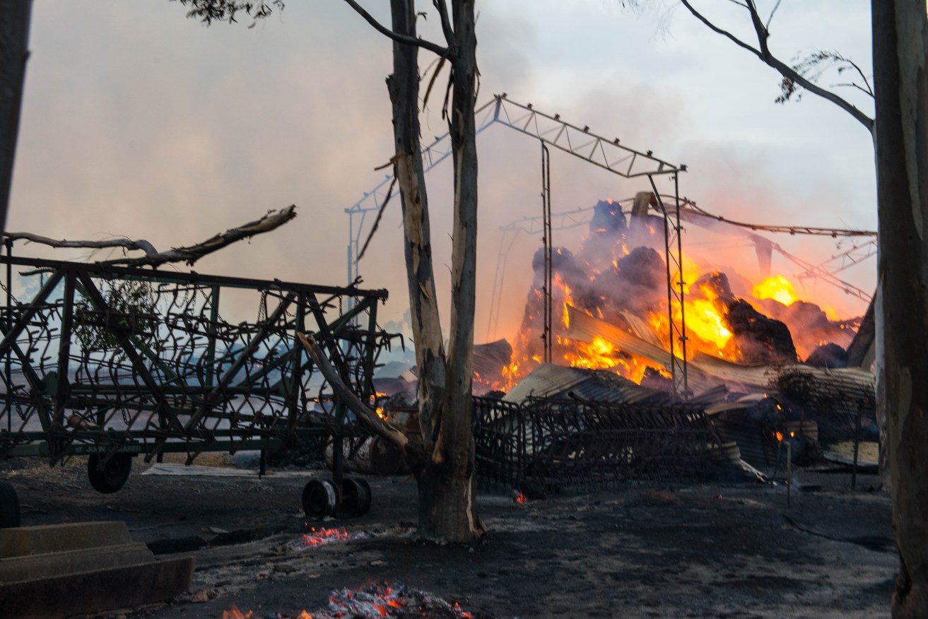 A shed burns at the entrance to Freeling during last year's Pinery bushfire. AAP Image/Brenton Edwards