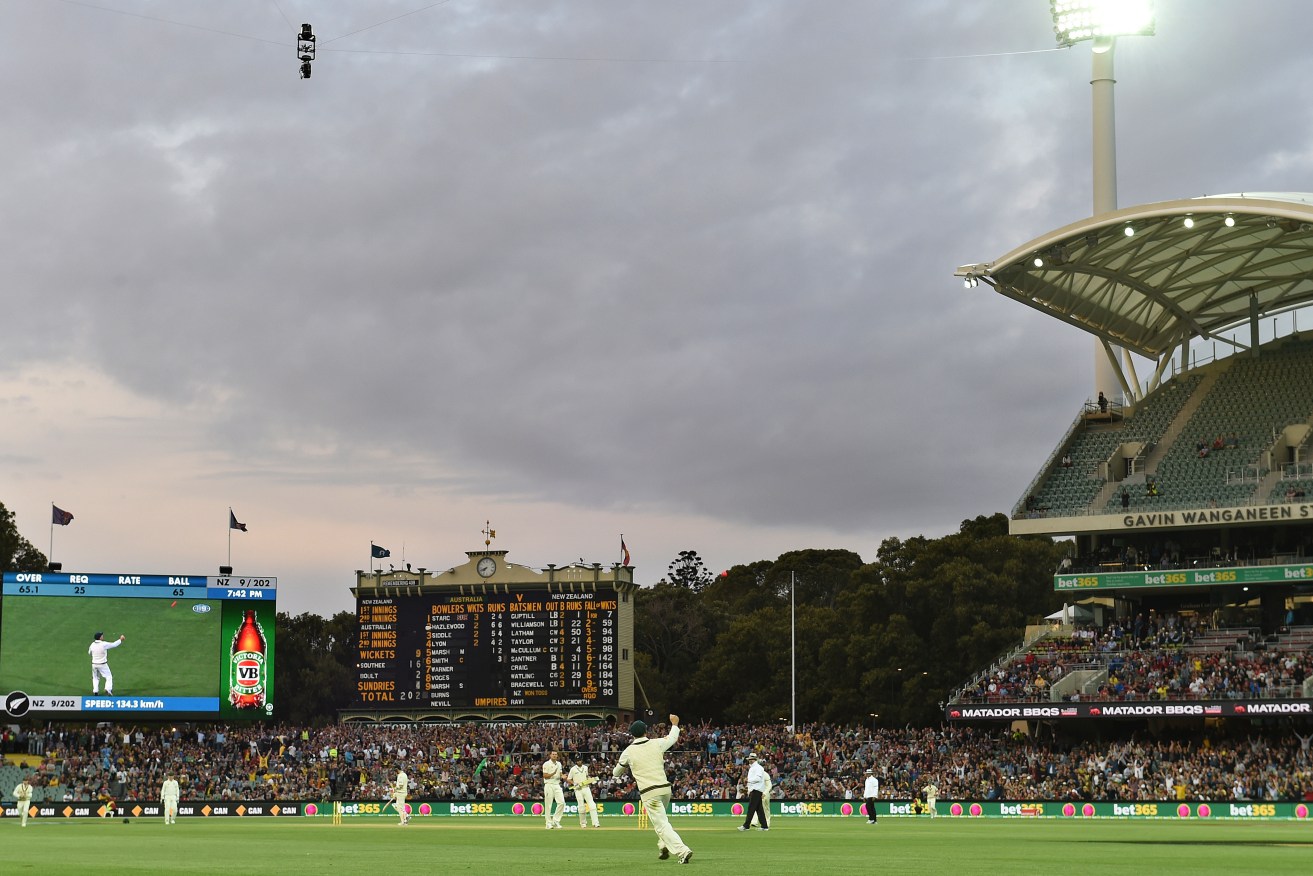 David Warner celebrating a catch during the day-night Test in Adelaide. AAP Image/Dave Hunt