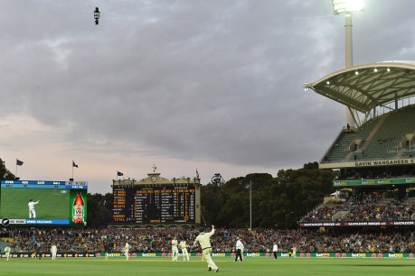 Why the pink ball won’t save Test cricket