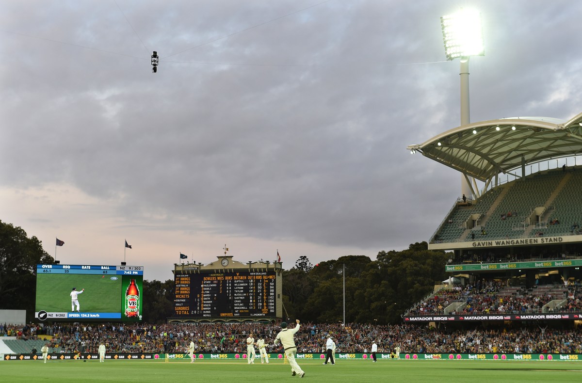 Australia's David Warner (centre) takes a catch at twilight. AAP Image/Dave Hunt