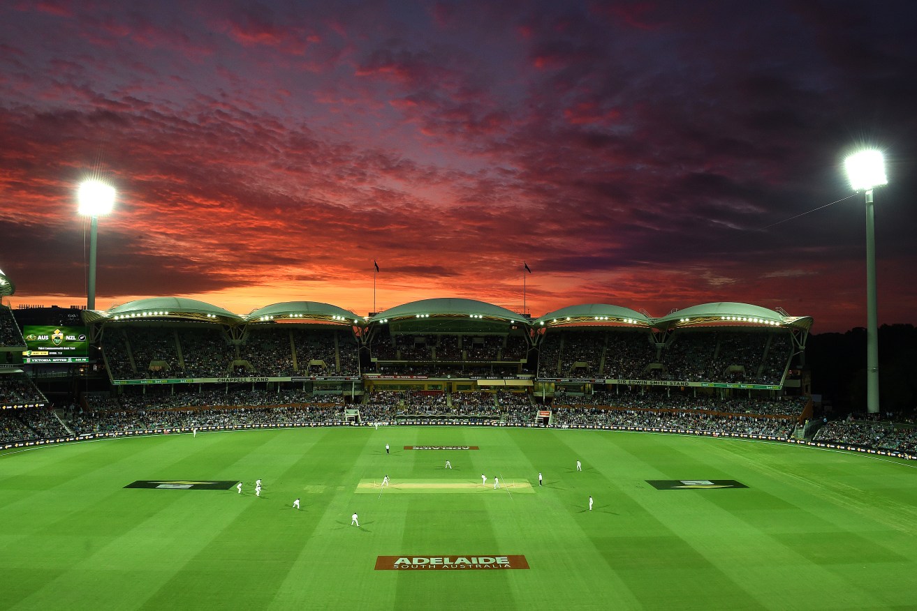 The pink ball will return to Adelaide Oval this month. Photo: Dave Hunt / AAP