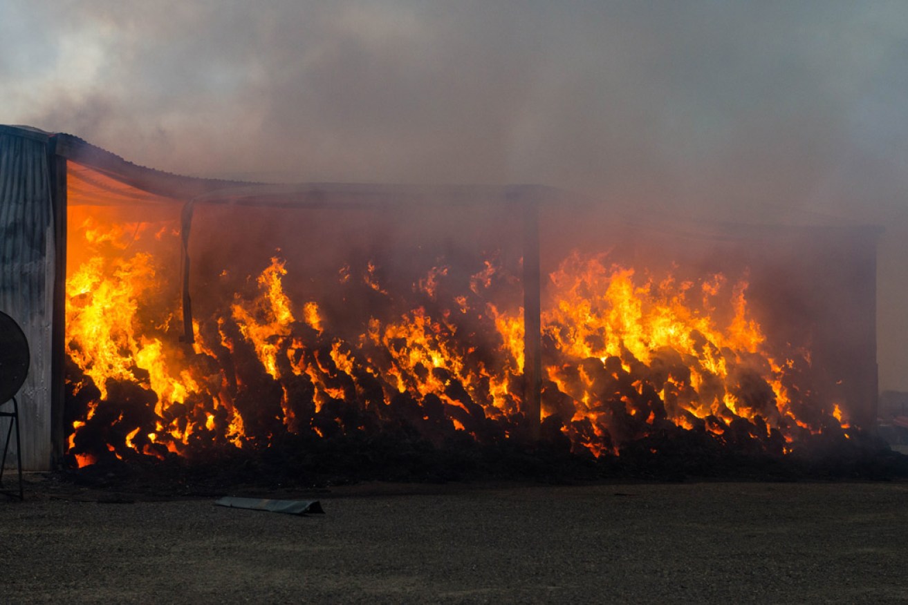 A hay shed burns on a property near Freeling during the recent Pinery bushfire. Photo: AAP / Brenton Edwards.