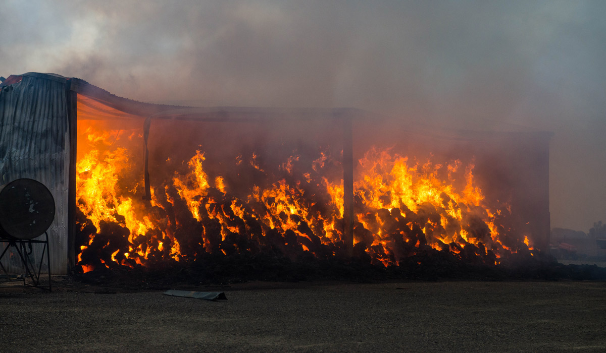 A hay shed burns on a property near Freeling. Photo: AAP / Brenton Edwards.