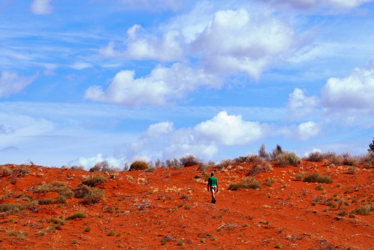 Walking the dunes, Ethabuka Reserve, north of the Simpson Desert. Photo: Bob Brown/Paul Thomas 