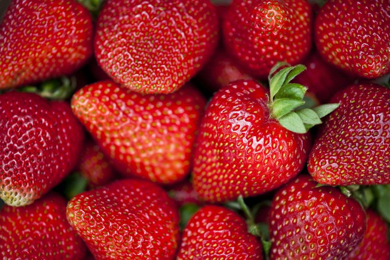 Strawberries at the Willunga Farmers' Market.