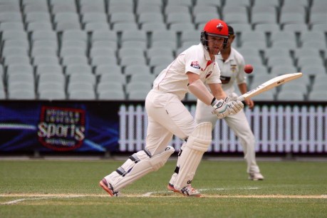 Momentum, the intangible quality now within Redbacks’ grasp