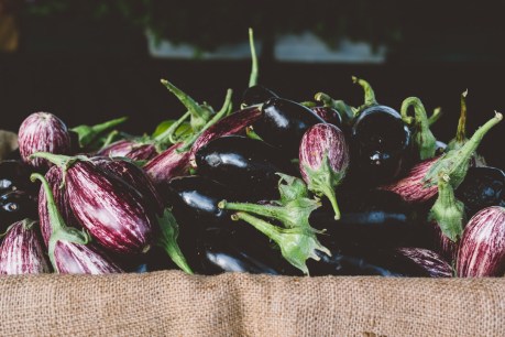 Fresh at the markets: eggplant
