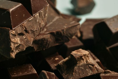 GI diets don’t work – but chocolate and gut bacteria might
