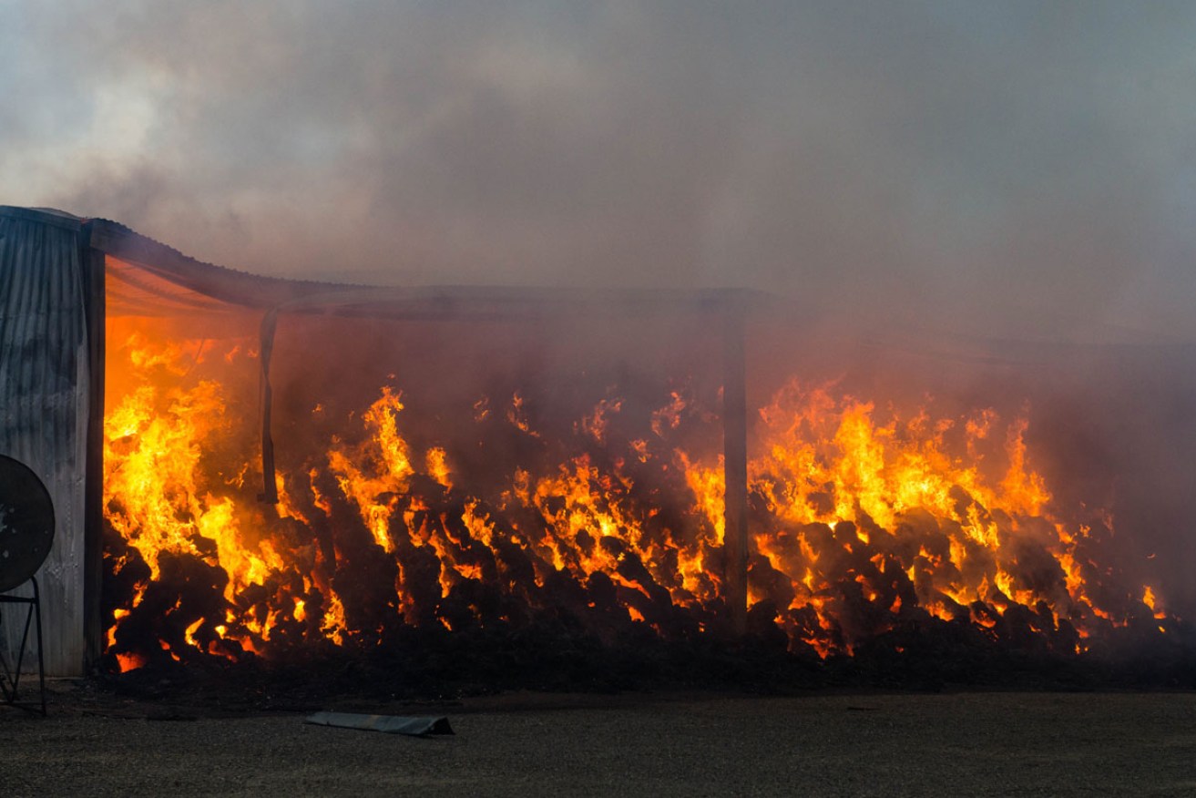 A hay shed burns on a property near Freeling in the mid-north of South Australia. Picture: Brenton Edwards, AAP