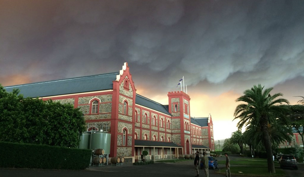 Smoke over Chateau Tanunda this afternoon. 