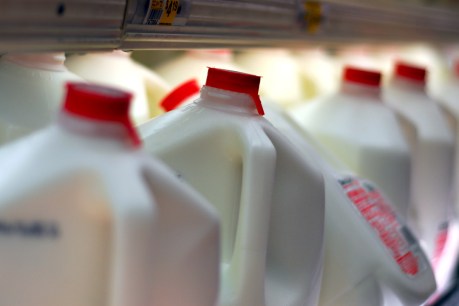 Australian milk production down: Fonterra