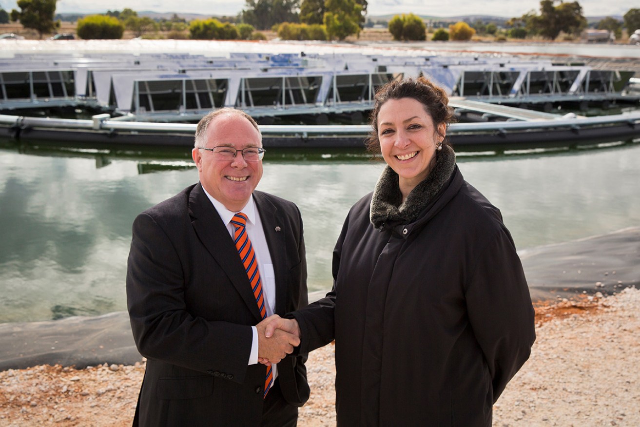 SA Minister for Sustainability, Environment and Conservation, Climate Change and Water Ian Hunter and Infratech director Felicia Whiting at the commissioning of the first floating solar plant in Australia, at Jamestown in South Australia.