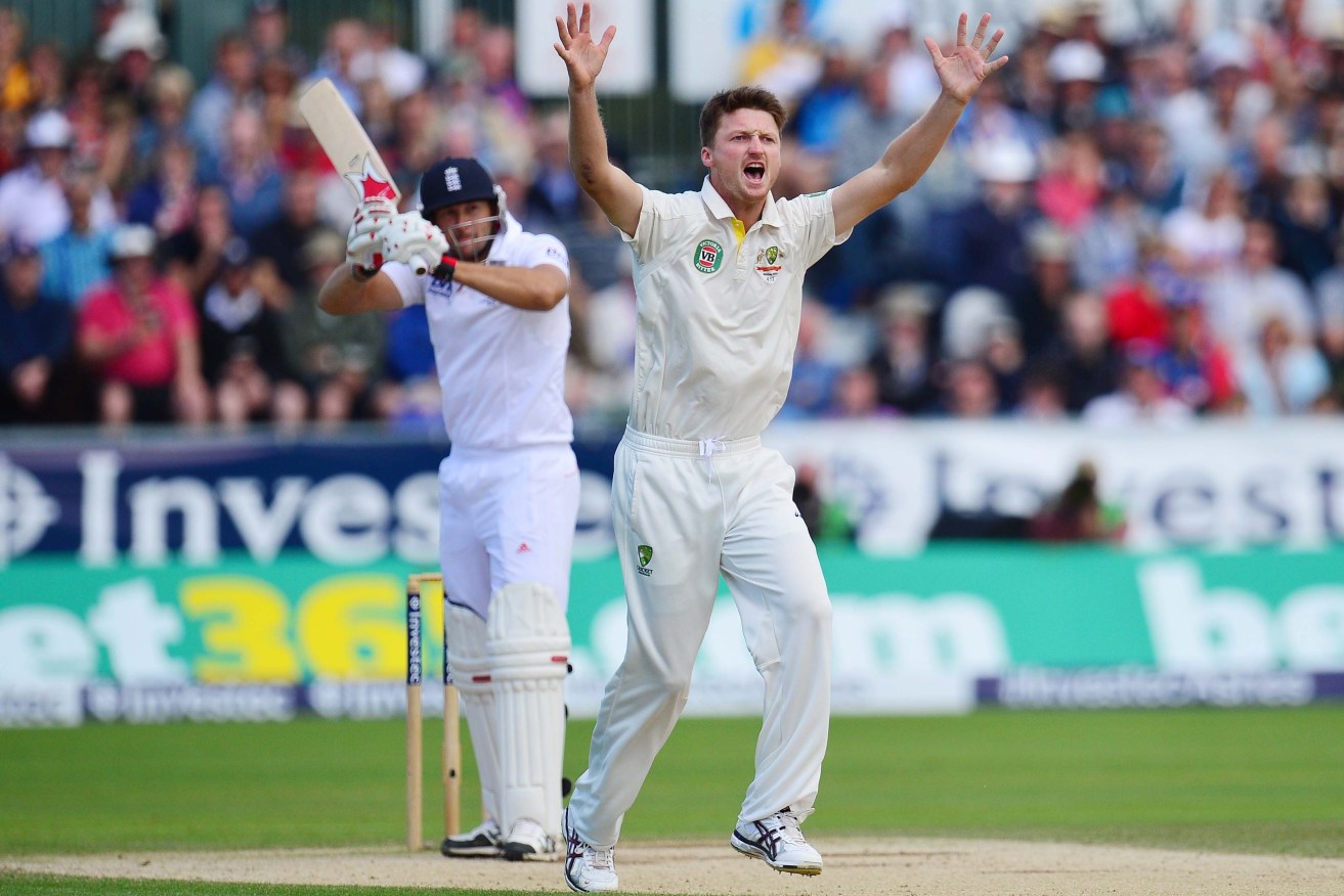 Jackson Bird appeals for a wicket during the 2013 Ashes series. Photo: Owen Humphreys/PA Wire