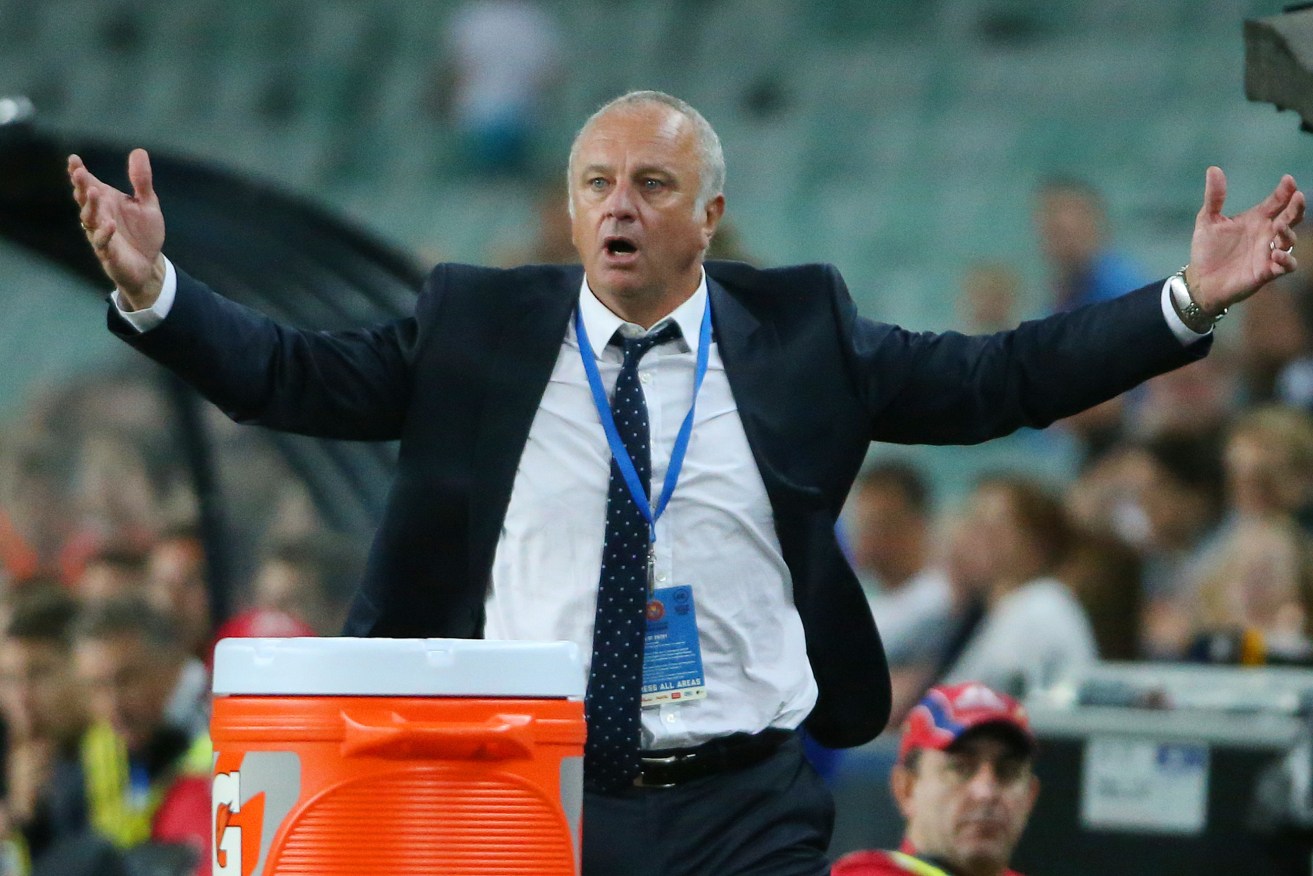 'What you talking bout, Arnold?' The Sydney FC coach has copped an official reprimand. Photo: David Moir/AAP