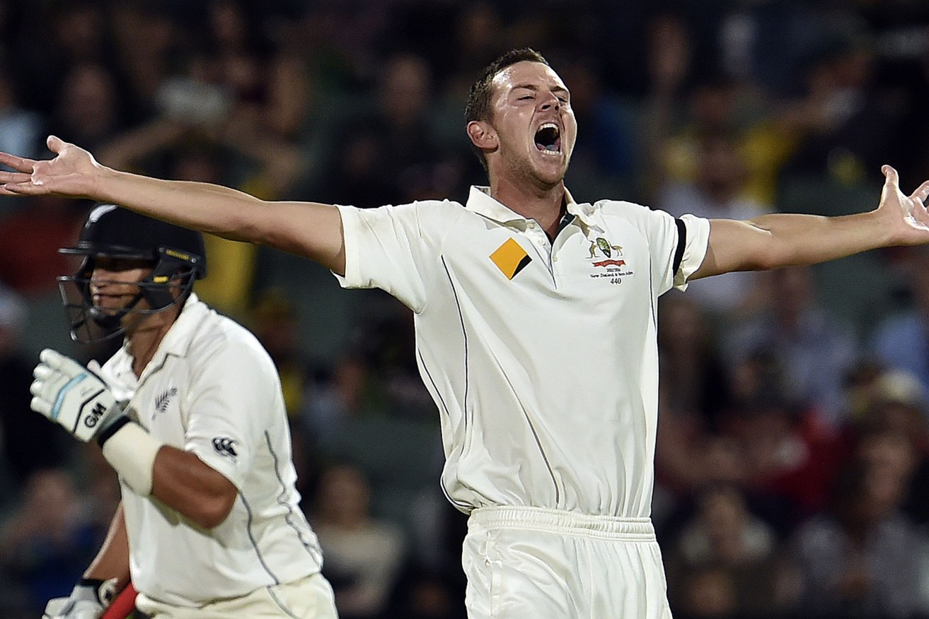 Josh Hazlewood celebrates the wicket of Ross Taylor  during the second day of the Adelaide Test. AFP PHOTO / SAEED KHAN
