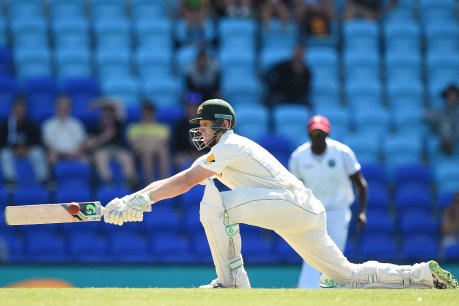 Voges, Marsh dominate Windies in 1st Test