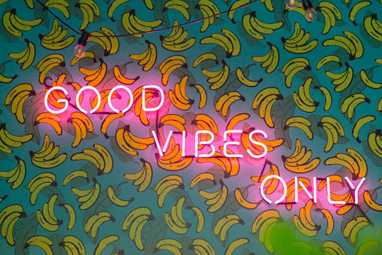 Combi-good-vibes-only