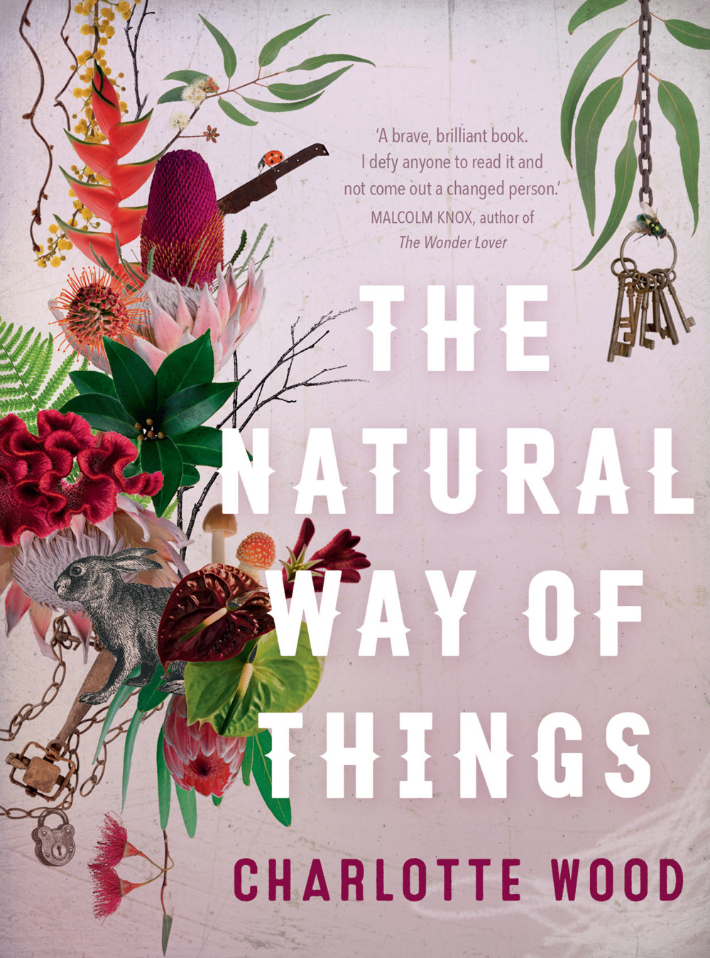 The-Natural-Way-of-Things---book-cover