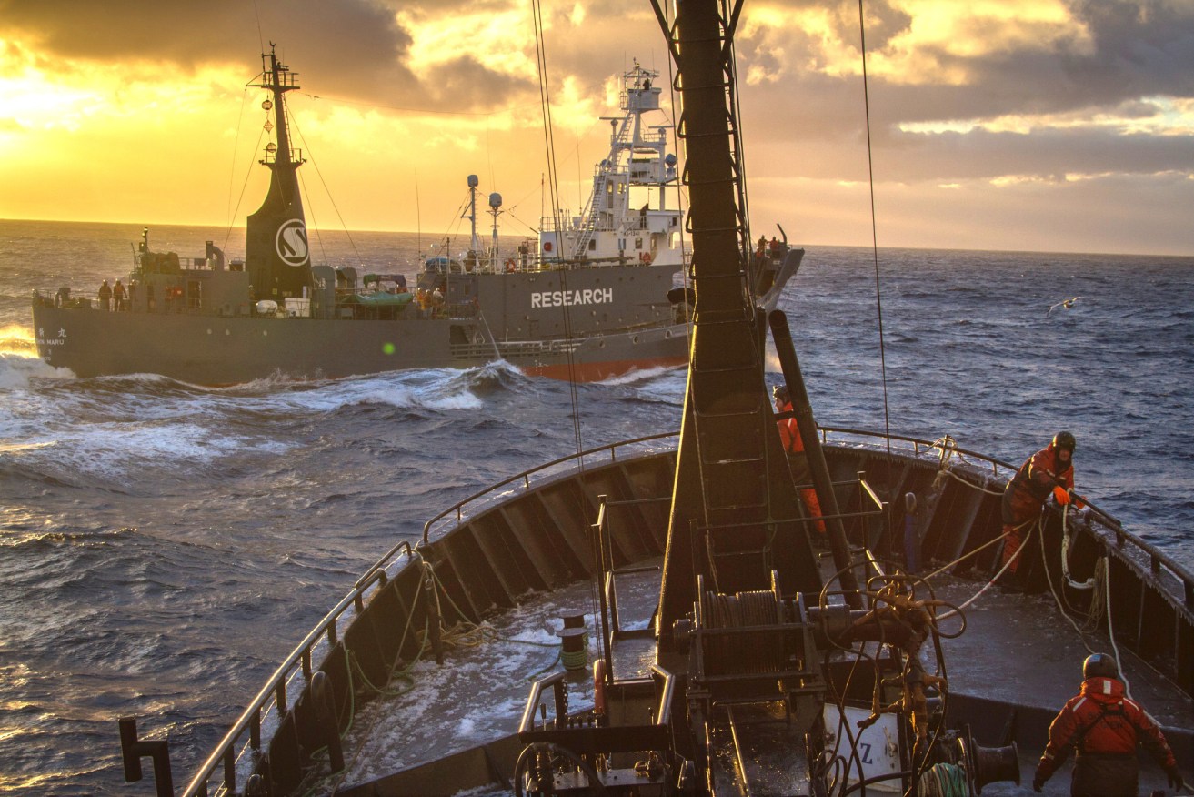 The Japanese whaling vessel Yunshin Maru crosses the bow of the anti-whaling group Sea Shepherd vessel, The Bob Barker. AAP Image/Sea Shepherd Australia