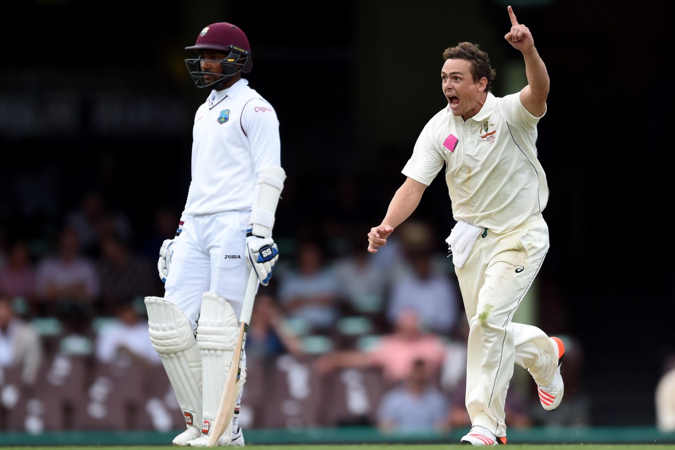Stephen O'Keefe celebrates taking the wicket of Jason Holder in the third Test. Photo: Paul Miller, AAP