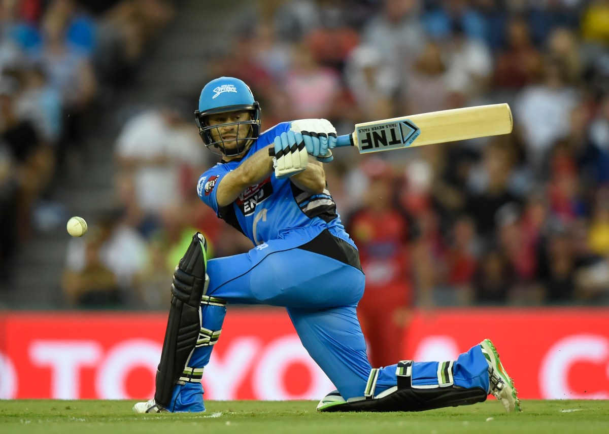Tim Ludeman during the Big Bash League match 32 between the Melbourne Renegades v Adelaide Strikers at Etihad Stadium in Melbourne, Monday, Jan. 18, 2016. (AAP Image/Mal Fairclough) NO ARCHIVING EDITORIAL USE ONLY, IMAGES TO BE USED FOR NEWS REPORTING PURPOSES ONLY, NO COMMERCIAL USE WHATSOEVER, NO USE IN BOOKS WITHOUT PRIOR WRITTEN CONSENT FROM AAP
