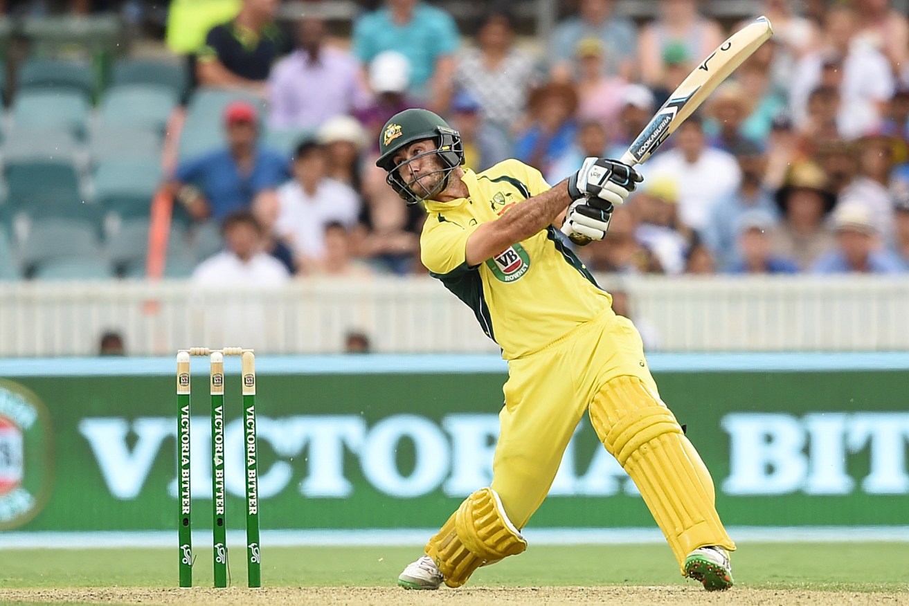 Glenn Maxwell in action during the fourth One Day International between Australia and India. Photo: Dean Lewins, AAP.