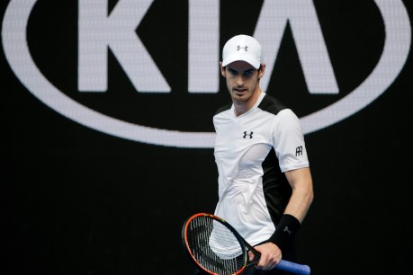 Murray storms into semi-final