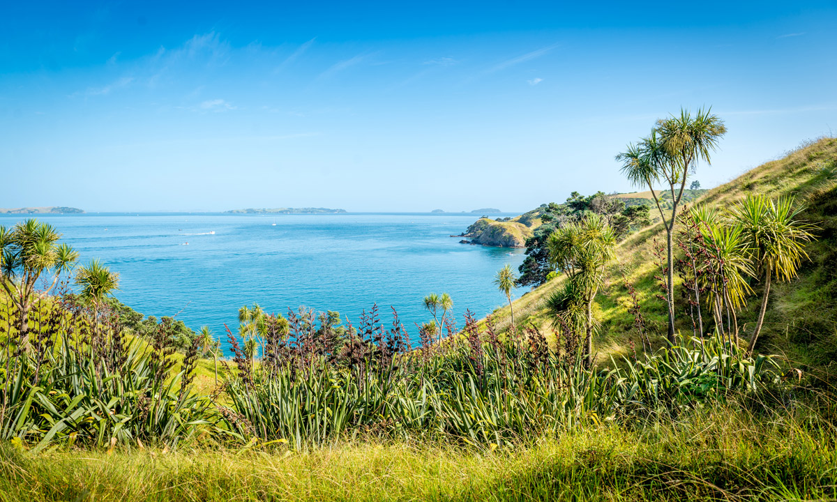 New Zealand's Waiheke Island. Photo: Troy Wegman / Shutterstock