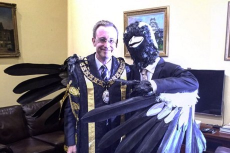 Giant bird swoops Lord Mayor in Town Hall ambush