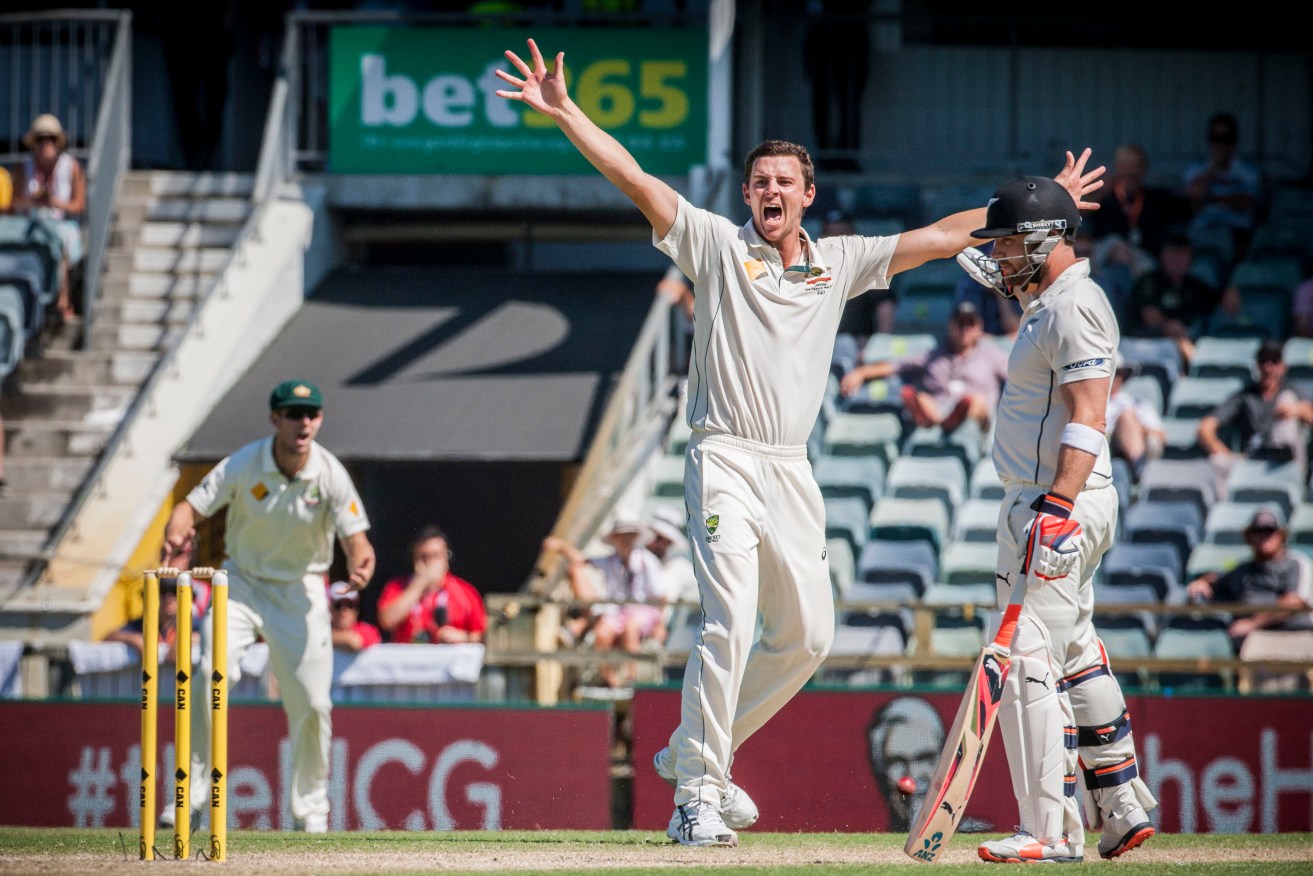 Josh Hazlewood appeals for a wicket as Brendon McCullum walks back to his crease. Photo: Tony McDonough, AAP.