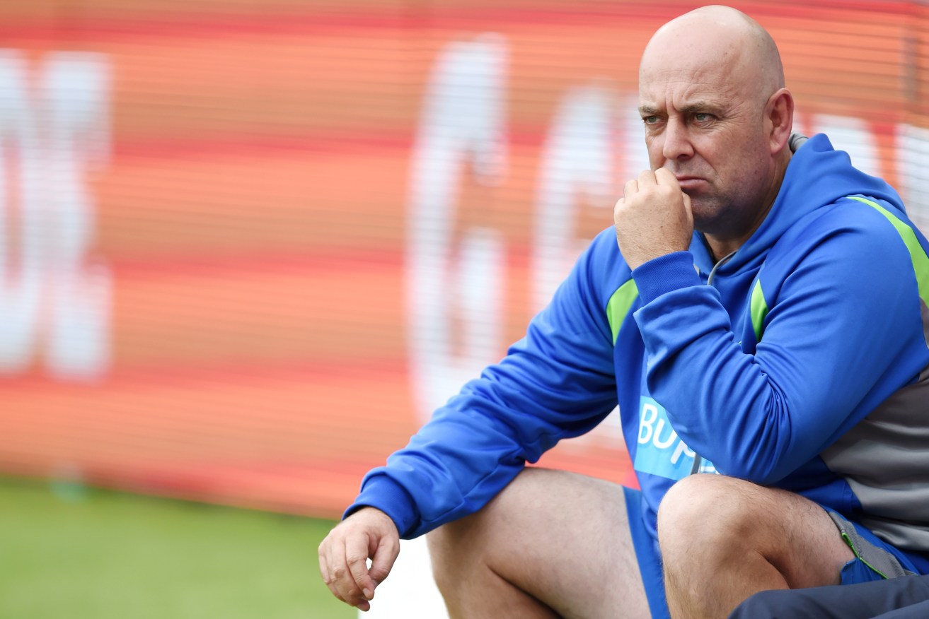 Darren Lehmann watches play during last month's Test against the West Indies. Photo: Paul Miller, AAP.