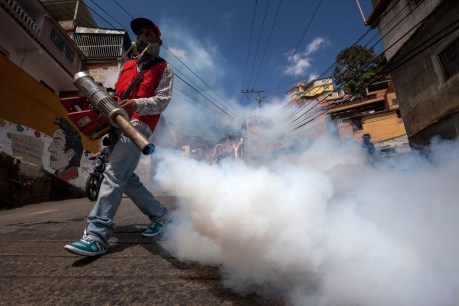 Olympics organisers brace for Zika effect