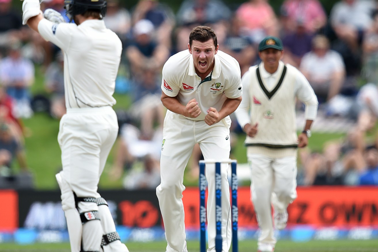 Josh Hazlewood reacts after New Zealand batsman Kane Williamson was given out by umpire Martinesz shortly before the decision was overturned on review. Photo: Dave Hunt, AAP.