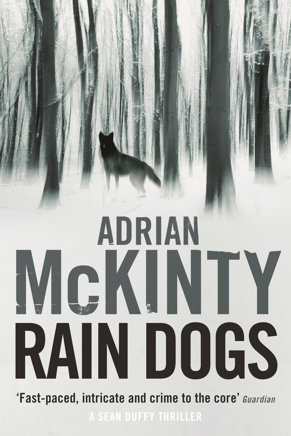 Rain Dogs, by Adrian McKinty, Allen & Unwin, $29.99.