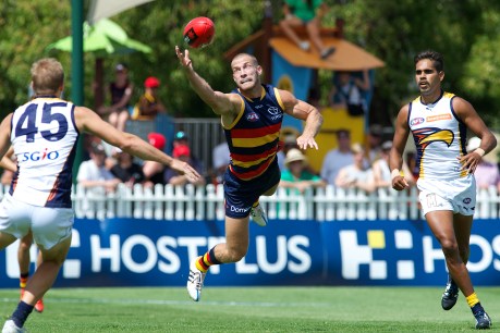 Gallery: The Crows and Port return to action
