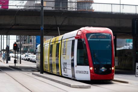 Adelaide needs trams, more people: Infrastructure Australia
