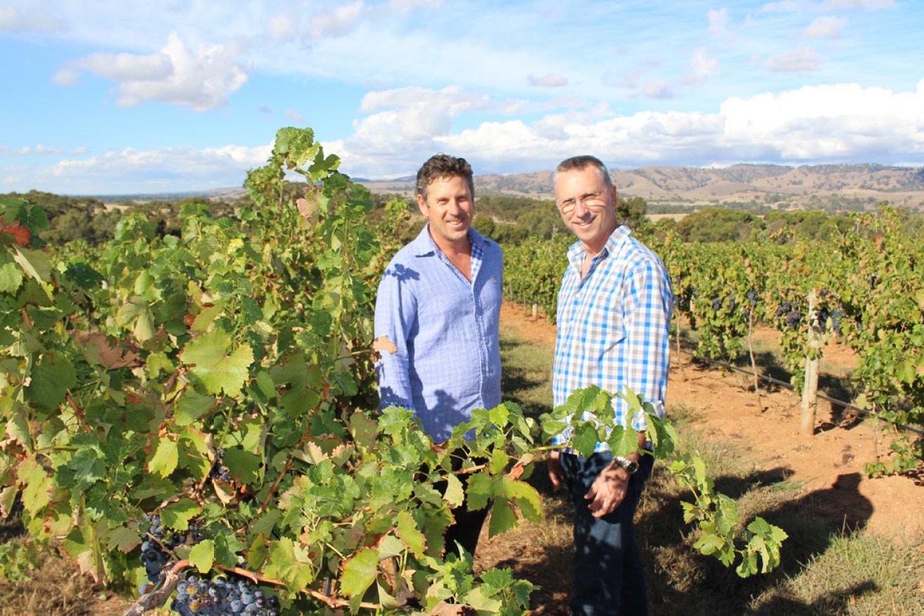 Purple Hands winemakers Craig Stansborough and Mark Slade. Photo: supplied