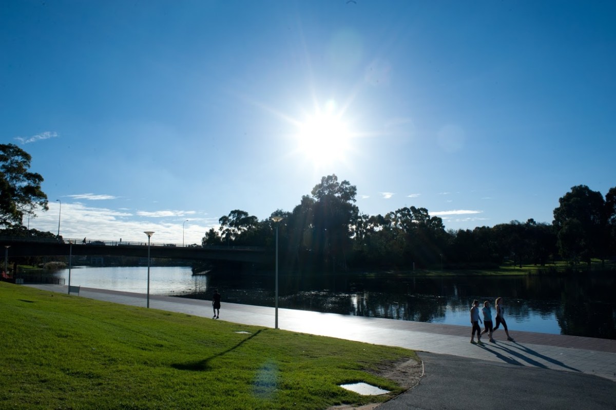 We need to work out how to make the Torrens healthy again. Photo: Nat Rogers/InDaily