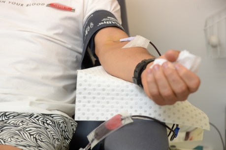 Recovered COVID-19 patient blood needed for clinical trials as donations rebound