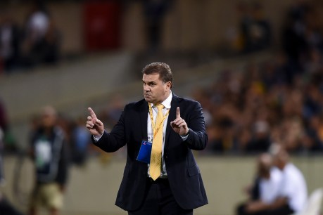 Ange to quit Socceroos – even if we qualify for Russia
