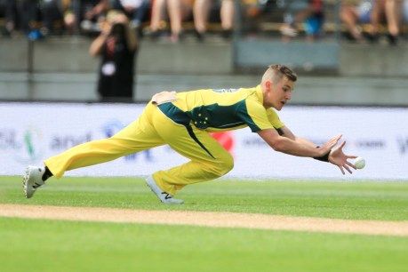 Australia in a spin as Zampa laid low by illness