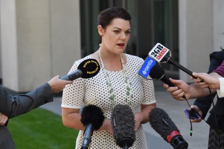 Greens leader praises dumped Hanson-Young