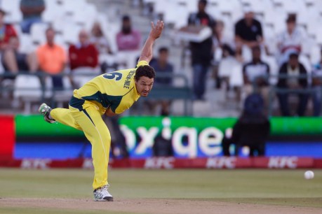 Hazlewood anoints Coulter-Nile as Aussie spearhead