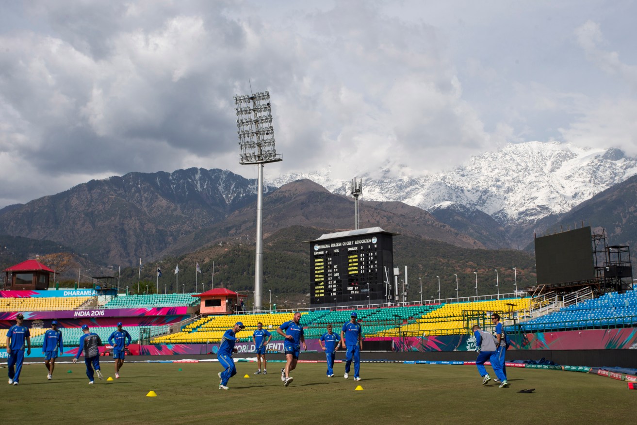 The Australian cricket team practices in the shadows ahead of its match against New Zealand. Photo: Ashwini Bhatia, AP.