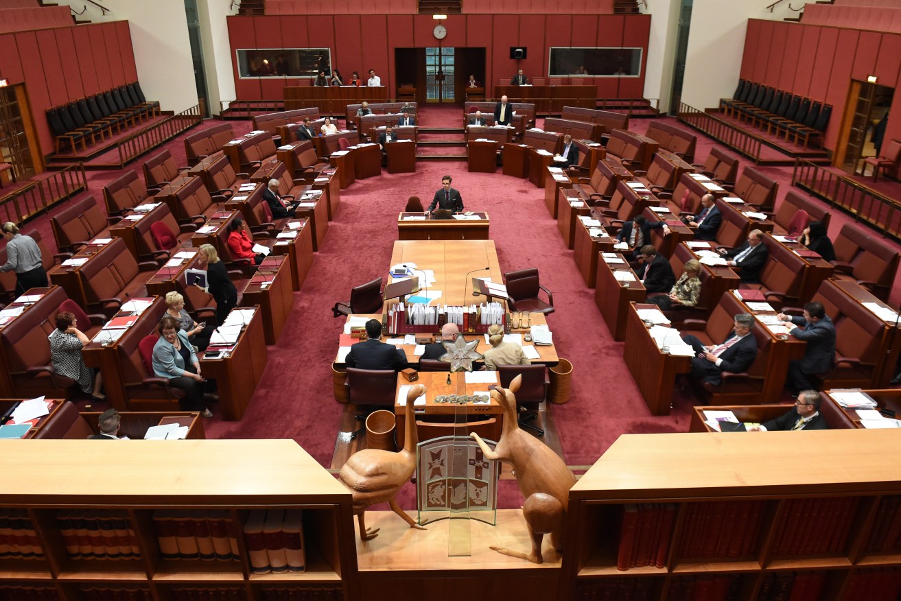 Independent Senator David Leyonhjelm moves an amendment to the Government's senate electoral reforms today. Photo: AAP Image/Mick Tsikas