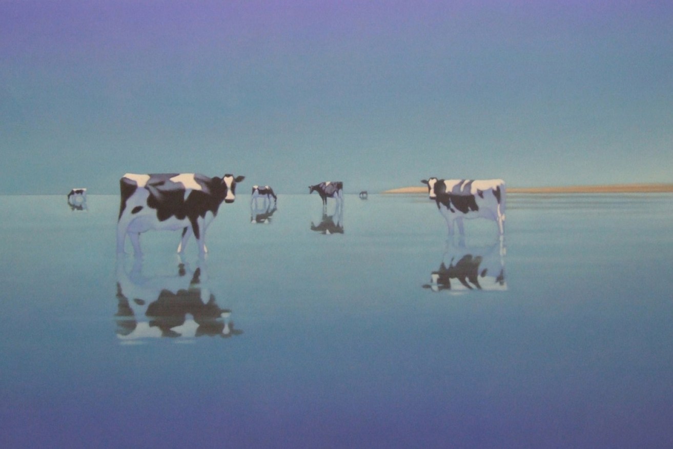 Busselton Bovines, by Andrew Baines.