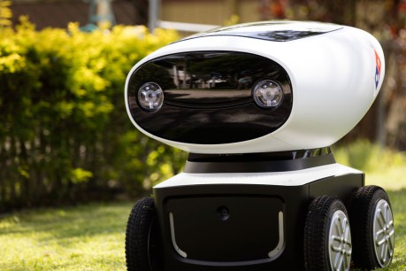 Meet DRU, your pizza-delivering robot